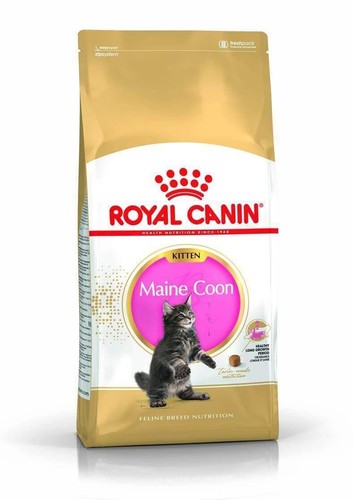 Royal canin kitten maine - royal, coon