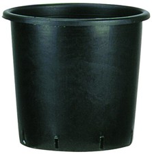 Vaso vivaio da - vivaio,,