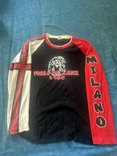 Materiale Fossa dei Leoni