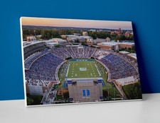 Poster o tela stadio calcio