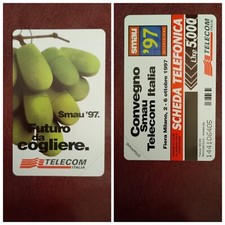 (022) scheda telefonica rara