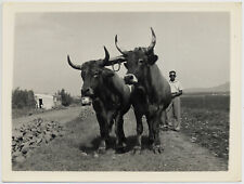 Album Sardegna Cagliari