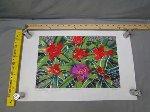 Stampa artistica michael truly - stampa,