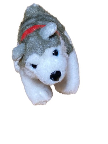 Costruisci orso husky cane - costruisci,
