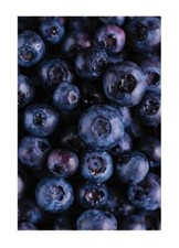 Stampa Mirtilli Poster da