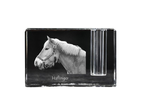 Haflinger portapenne - , in
