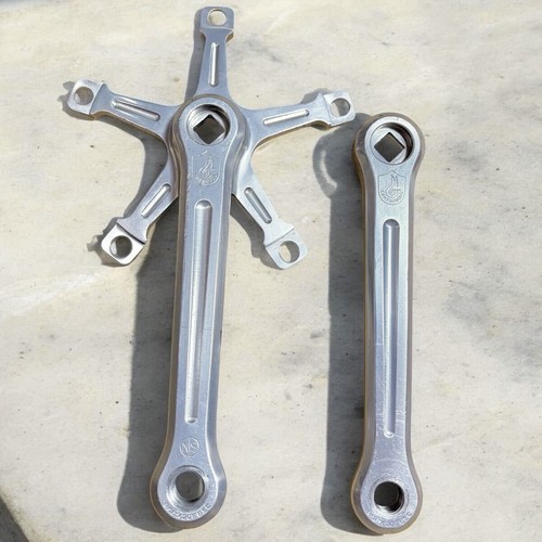 Guarnitura pista campagnolo - guarnitura,