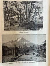 Incisione d'epoca originale