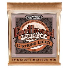Ernie Ball Earthwood 12 String