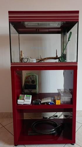 Acquario askoll pure colore - askoll,
