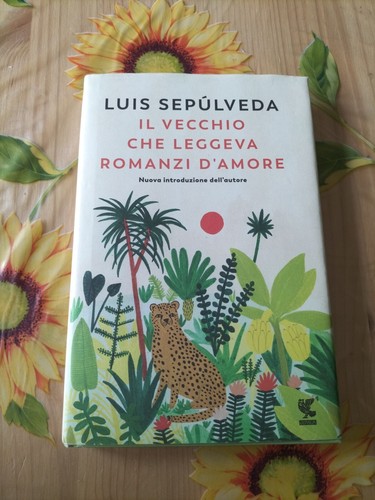 Vecchio che leggeva romanzi - vecchio,
