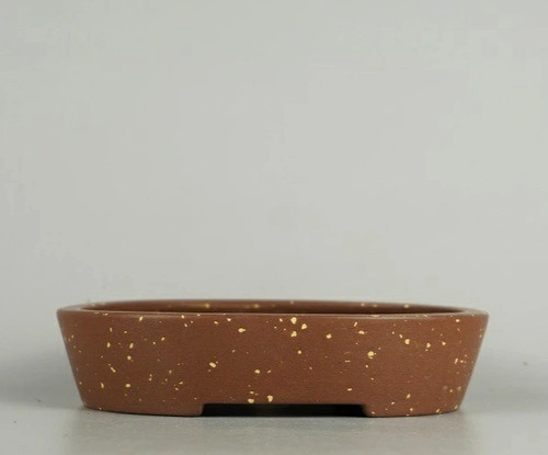 Vaso per bonsai - , giapponese