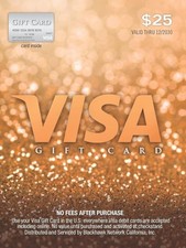 Visa $25 Gift Card (plus $3.95