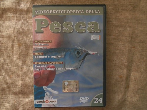 Videoenciclopedia della - -videoenciclopedia,