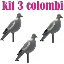 stampo colombaccio posato