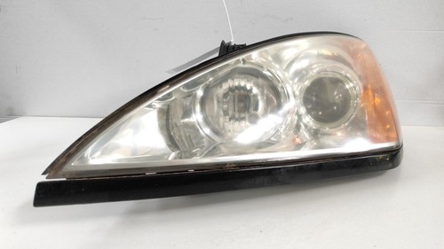 Proiettore con lampadine - sx.,