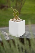 VASO QUADRATO IN LAMIERA