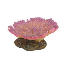 AQL Decorazione Corallo in Resina Modello Montipora cm9x8x4h