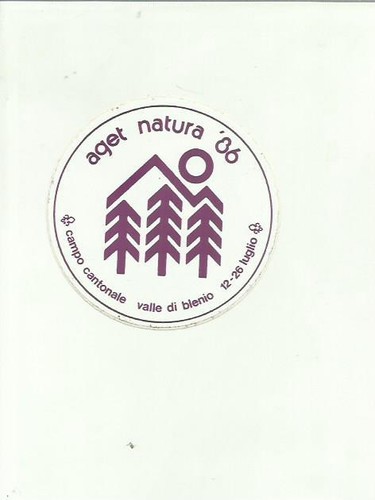 Boy scoutn sticker - boy,