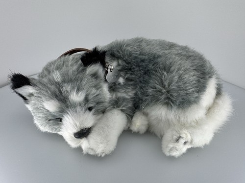 Petzzz originale perfetto