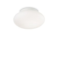 OUTDOOR CEILING LIGHT 1 LIGHT