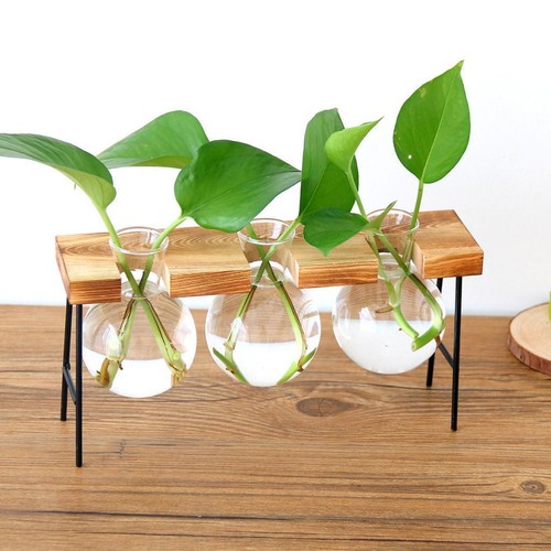 Espositore giardino per - giardino,