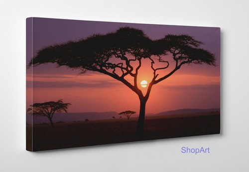 Quadro tramonto sulla savana - quadro,