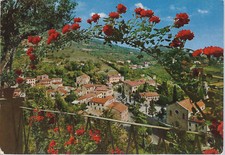 ARQUA' PETRARCA - PANORAMA -