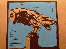 Enotrio, Gufi. Prova d'artista