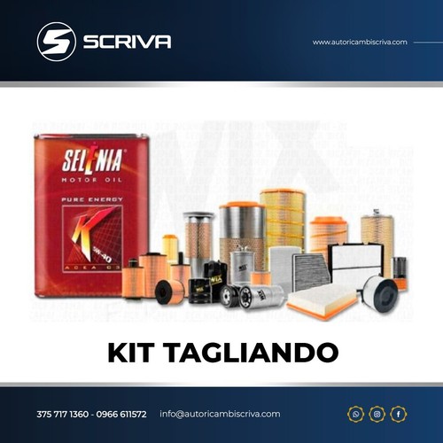 Kit tagliando fiat bravo - kit,