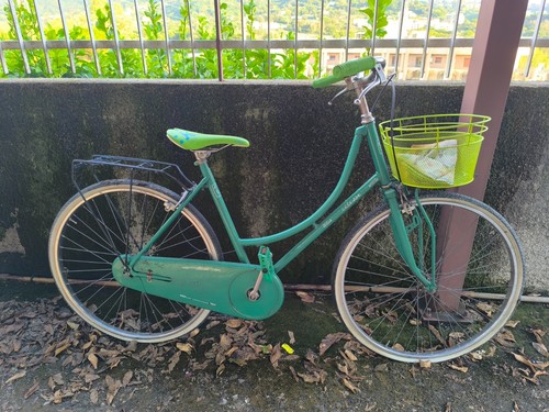 Bicicletta bici passeggio - bicicletta,