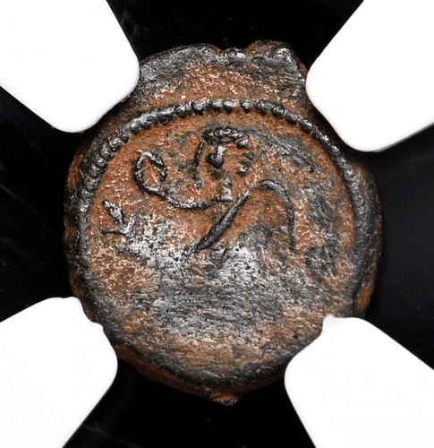 Impero romano leone ad - impero,