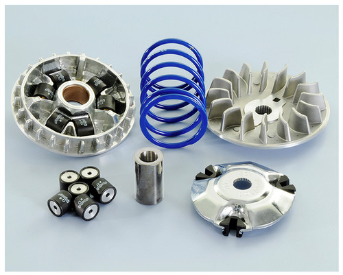 241 733 variatore polini - 241.733,