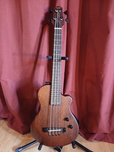 Micro basso elettrico gold - basso,