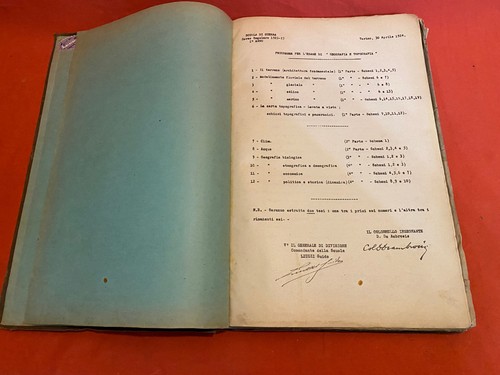 Antique italian book 1924 - book,