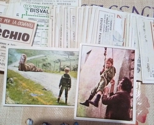 Pinocchio panini nuove e - ,