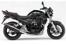 Gpr scarico hom trioval suzuki - hom,
