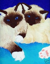 BIRMAN CATS GATTINI Cat Art STAMPA di pittura di VERN