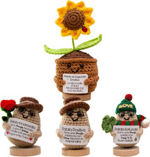 Girasole Positivo – Pianta