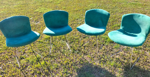 Sedia harry bertoia - harry, per