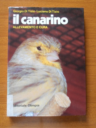 Canarino allevamento cura - e,