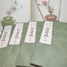 Flower Illustration Ikenobo