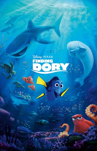 Aa1428 alla ricerca dory - ricerca, di