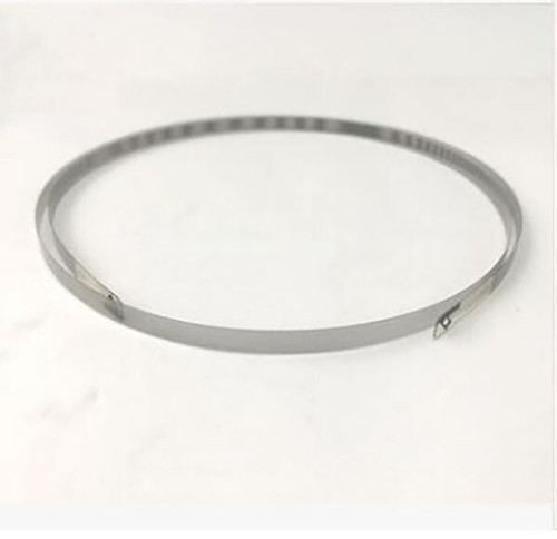 Nuovissima striscia encoder
