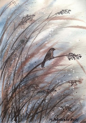 Berd foggy morning - berd,
