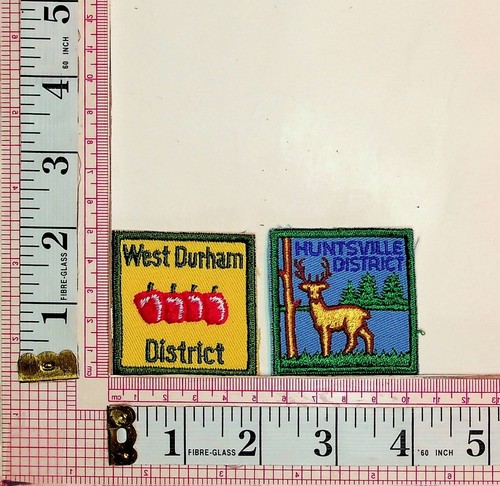 Scouts west durham - west,