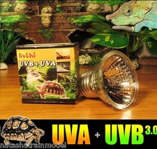 Lampadina lampada faretto spot