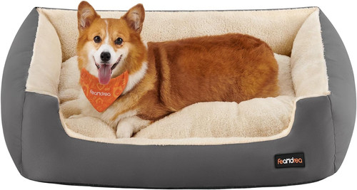 Cuccia cane interno - cuccia,