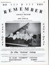 MAREMMA DOG 1955 DOG BREED