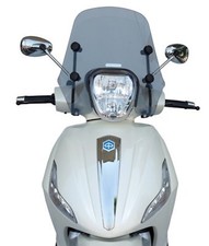 2778/LD Smoke Windshield